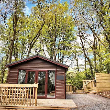 Woodland View -Hot Tub-Tenby-Carmarthen-St Clears Kültér fotó