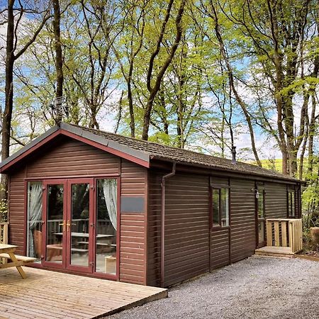 Woodland View -Hot Tub-Tenby-Carmarthen-St Clears Kültér fotó